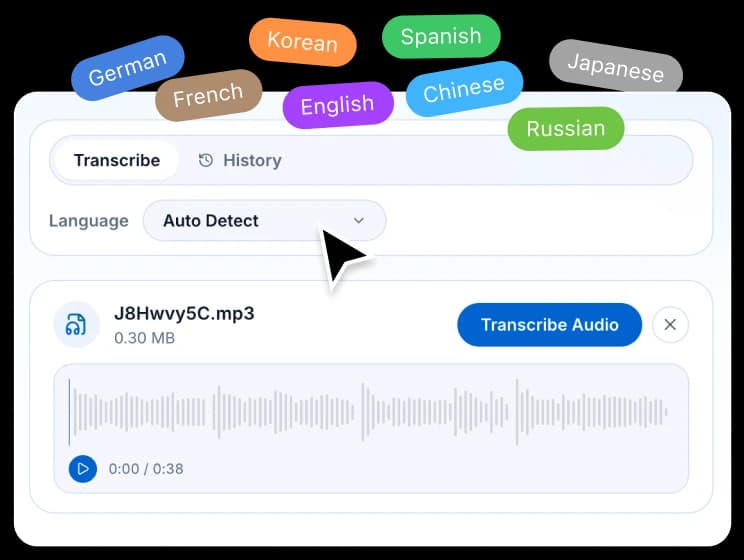 Choose a language or use auto-detect